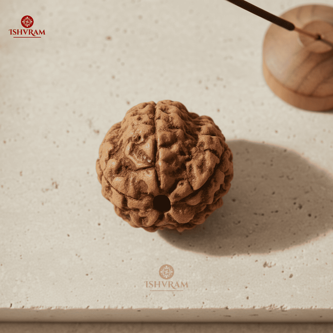 5 Mukhi Rudraksha – Certified & Energized Bead for Peace