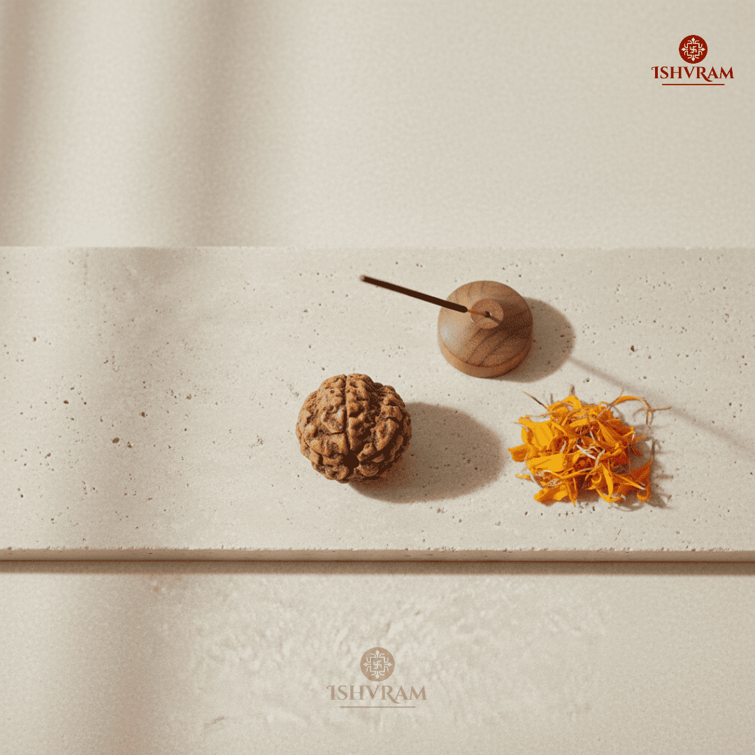 5 Mukhi Rudraksha – Certified & Energized Bead for Peace