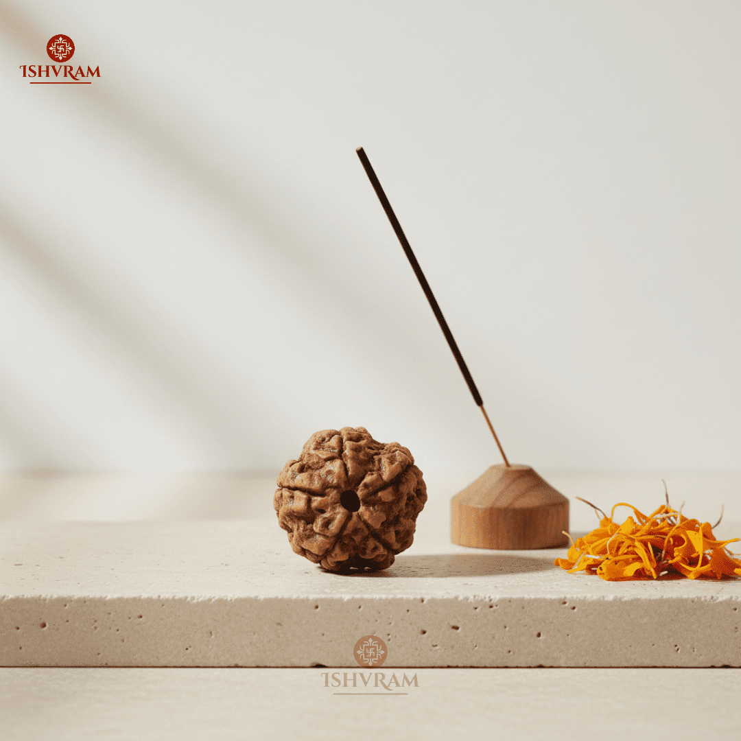 5 Mukhi Rudraksha – Certified & Energized Bead for Peace