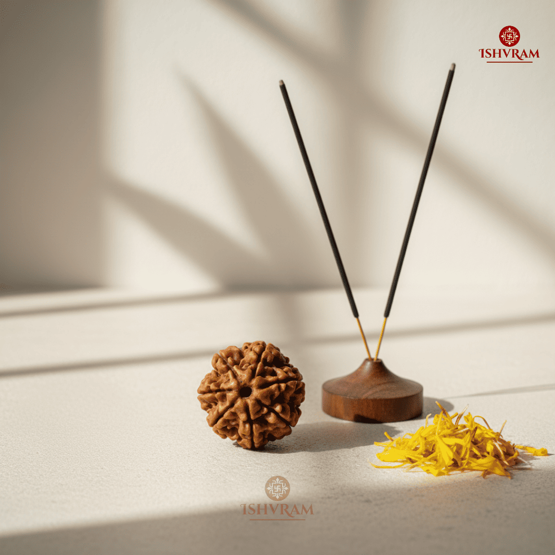 7 Mukhi Rudraksha – Certified Bead