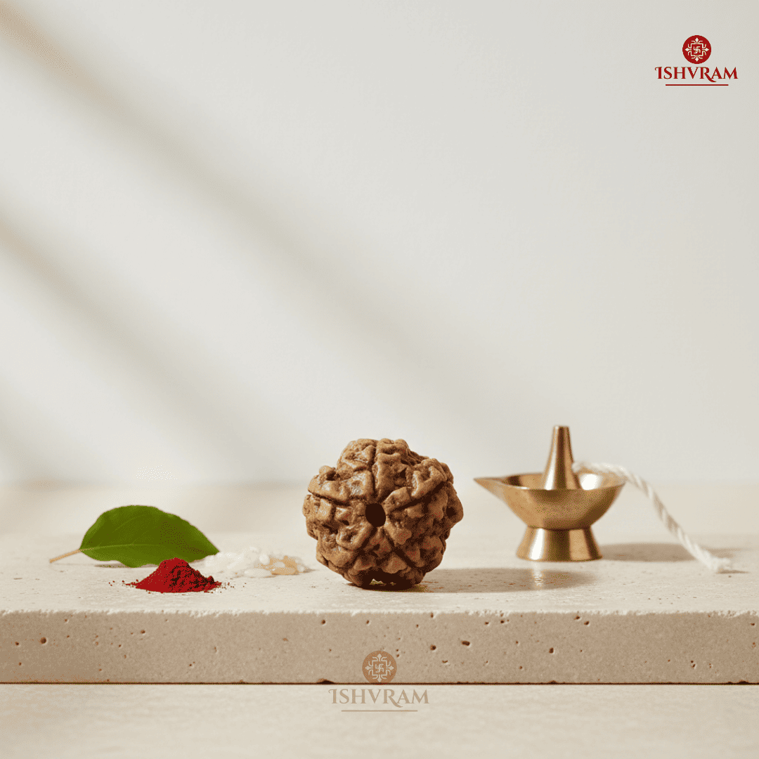 5 Mukhi Rudraksha – Certified & Energized Bead for Peace